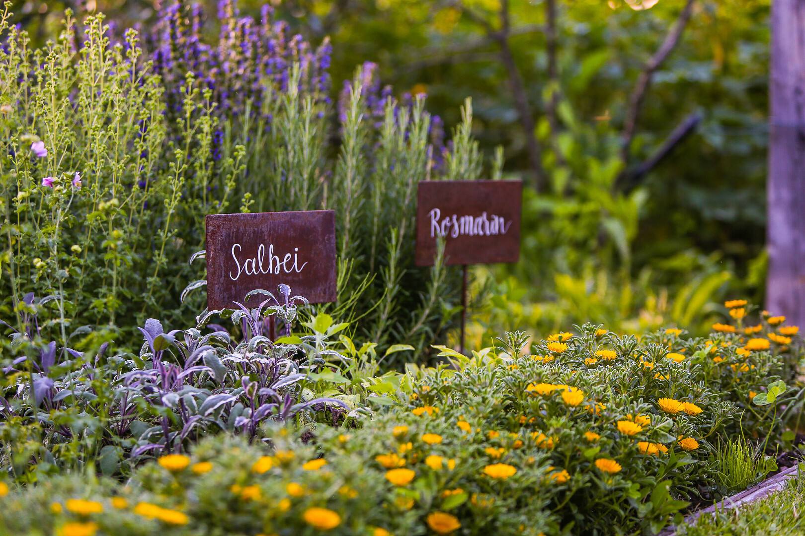 Kräutergarten